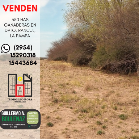 Foto Campo en Venta en Rancul, La Pampa - U$D 950.000 - pix64107716 - BienesOnLine