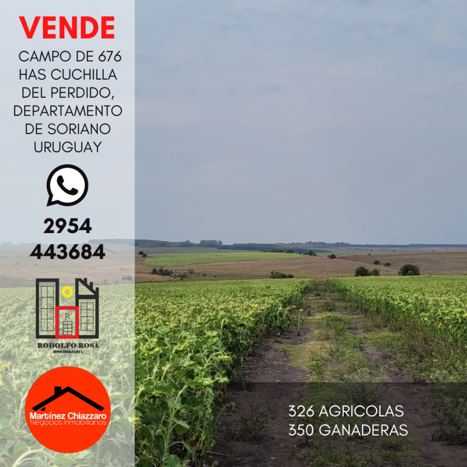 Establecimiento rural de 676 hectareas ubicado en Departamento de Soriano, Uruguay