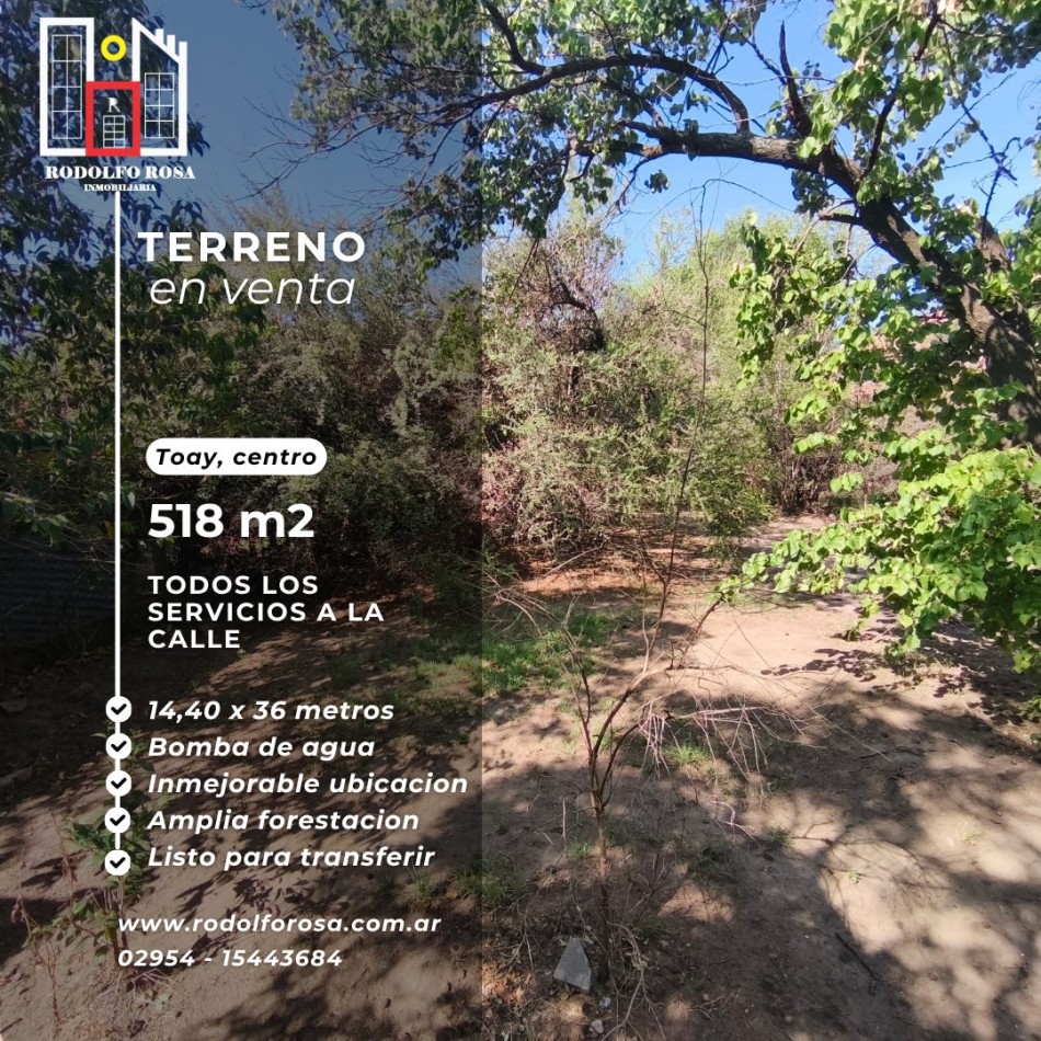 OPORTUNIDAD PARA INVERSORES - TERRENO CENTRICO EN TOAY