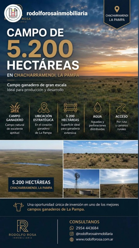 A LA VENTA - en EXCLUSIVIDAD - 5200 hectareas ganaderas en Chacharramendi, La Pampa 
