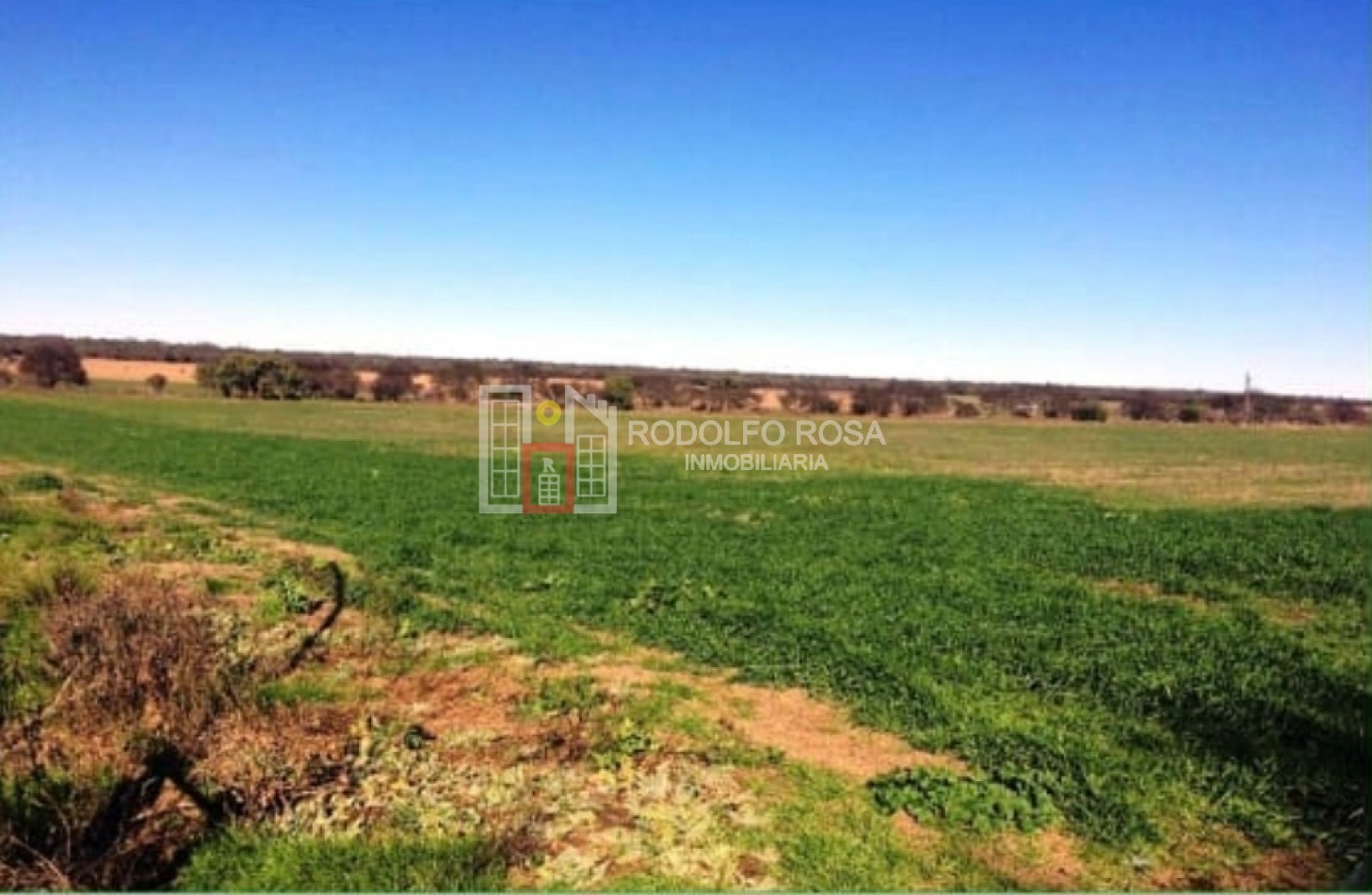 Excelente campo ganadero de 840 hectareas en Doblas, La Pampa