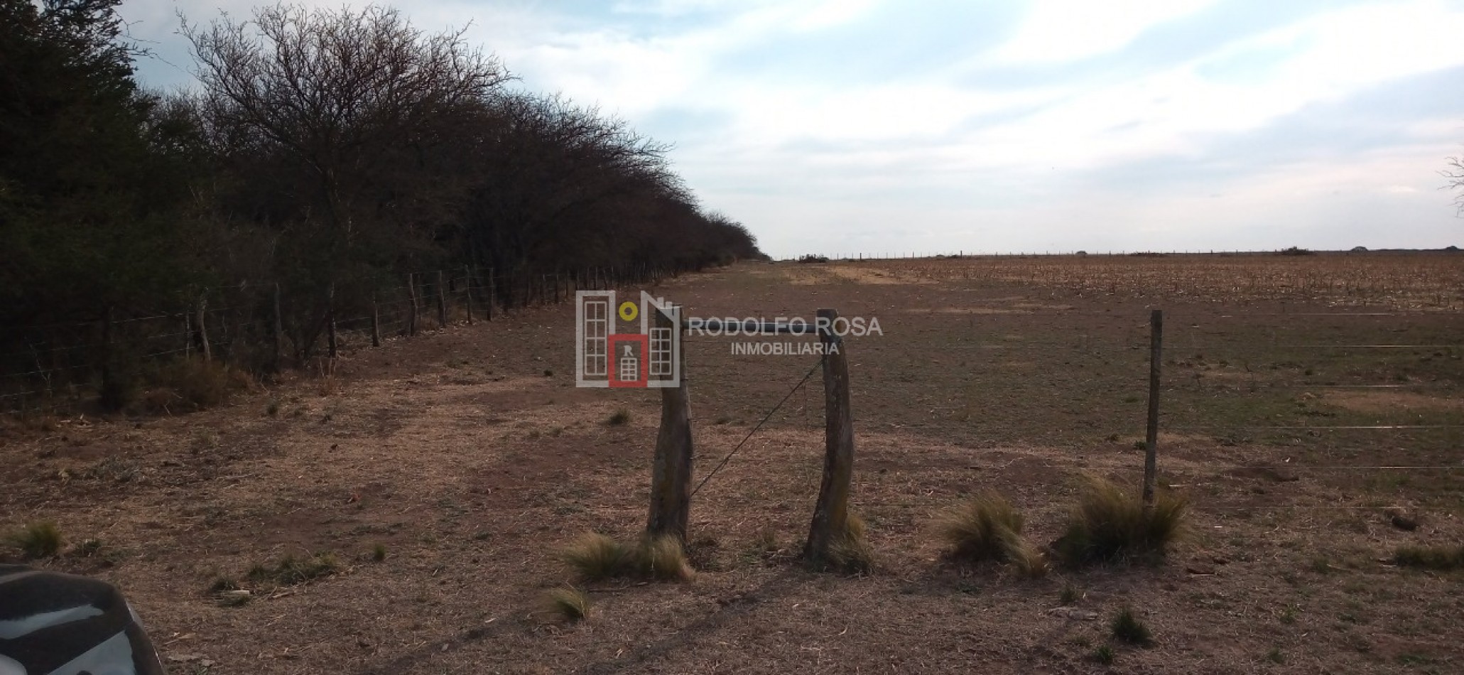 Excelente campo ganadero en departamento Rancul, La Pampa