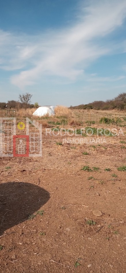 Excelente campo ganadero en departamento Rancul, La Pampa