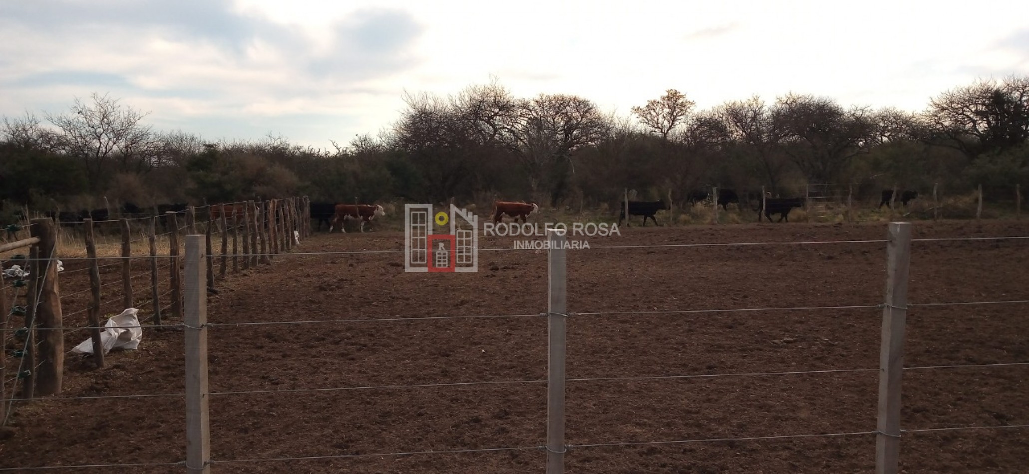 Excelente campo ganadero en departamento Rancul, La Pampa