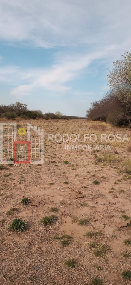 Excelente campo ganadero en departamento Rancul, La Pampa