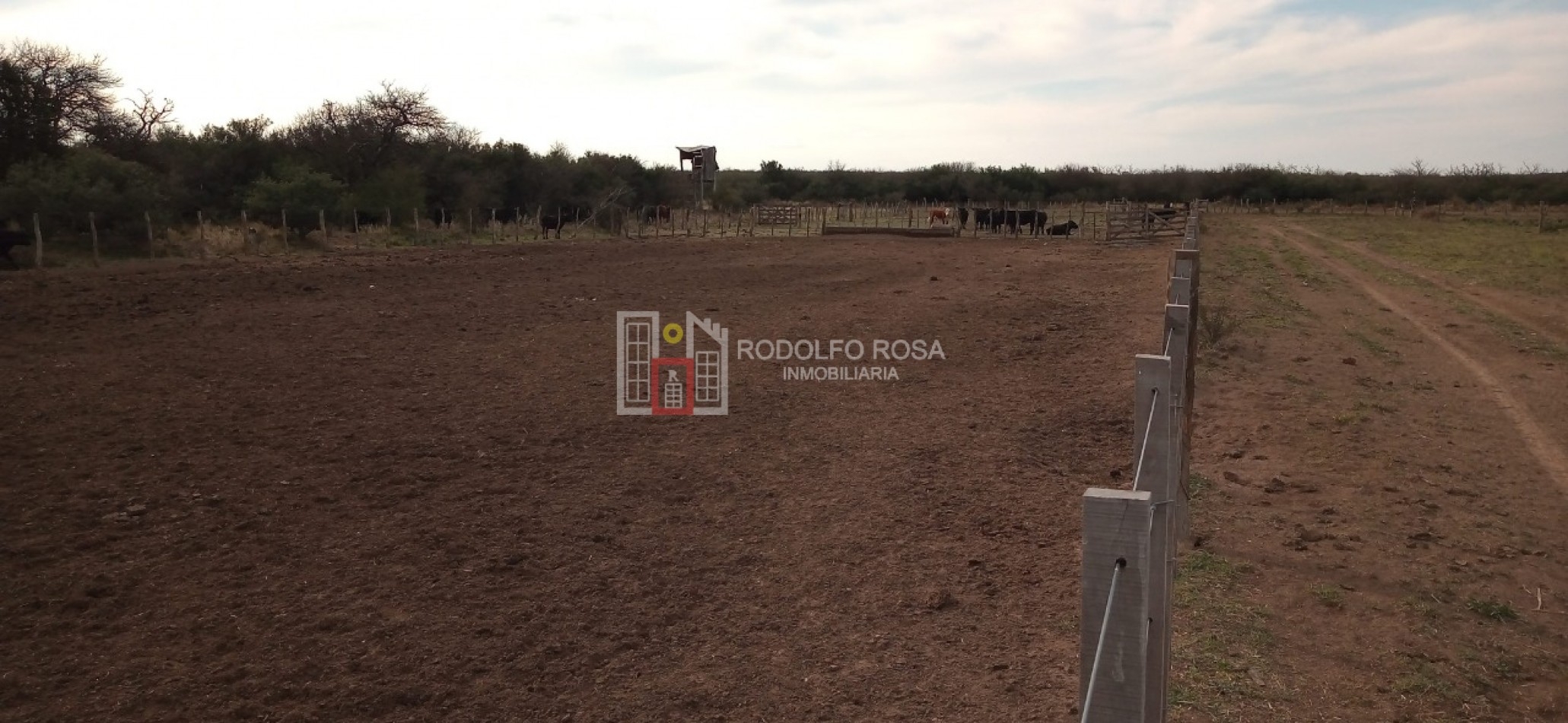 Excelente campo ganadero en departamento Rancul, La Pampa