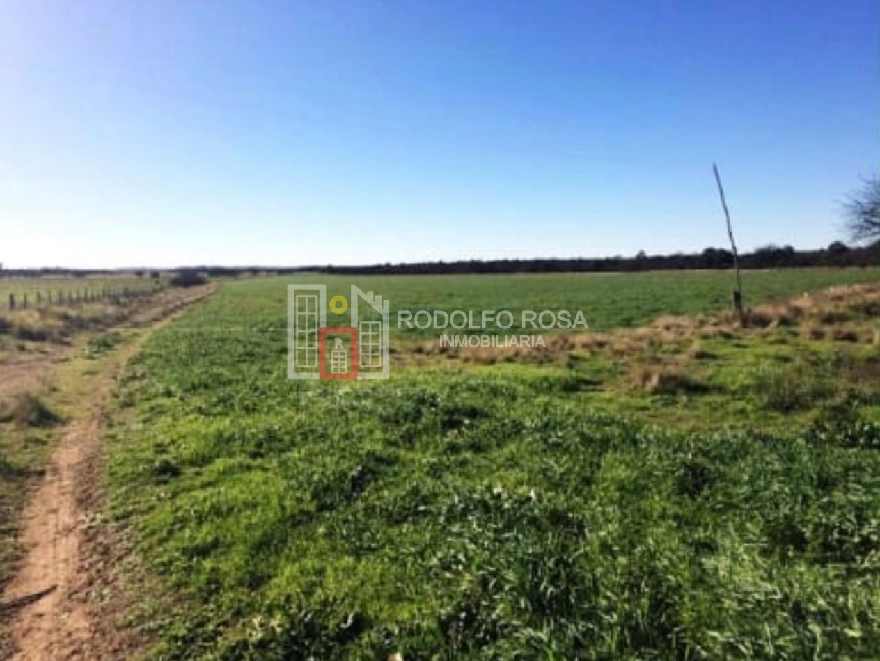 Excelente campo ganadero de 840 hectareas en Doblas, La Pampa