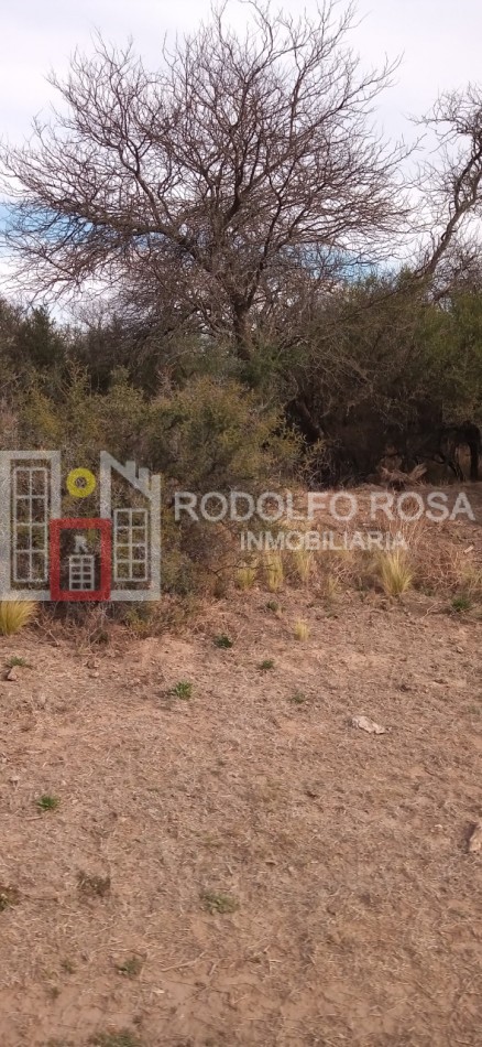 Excelente campo ganadero en departamento Rancul, La Pampa