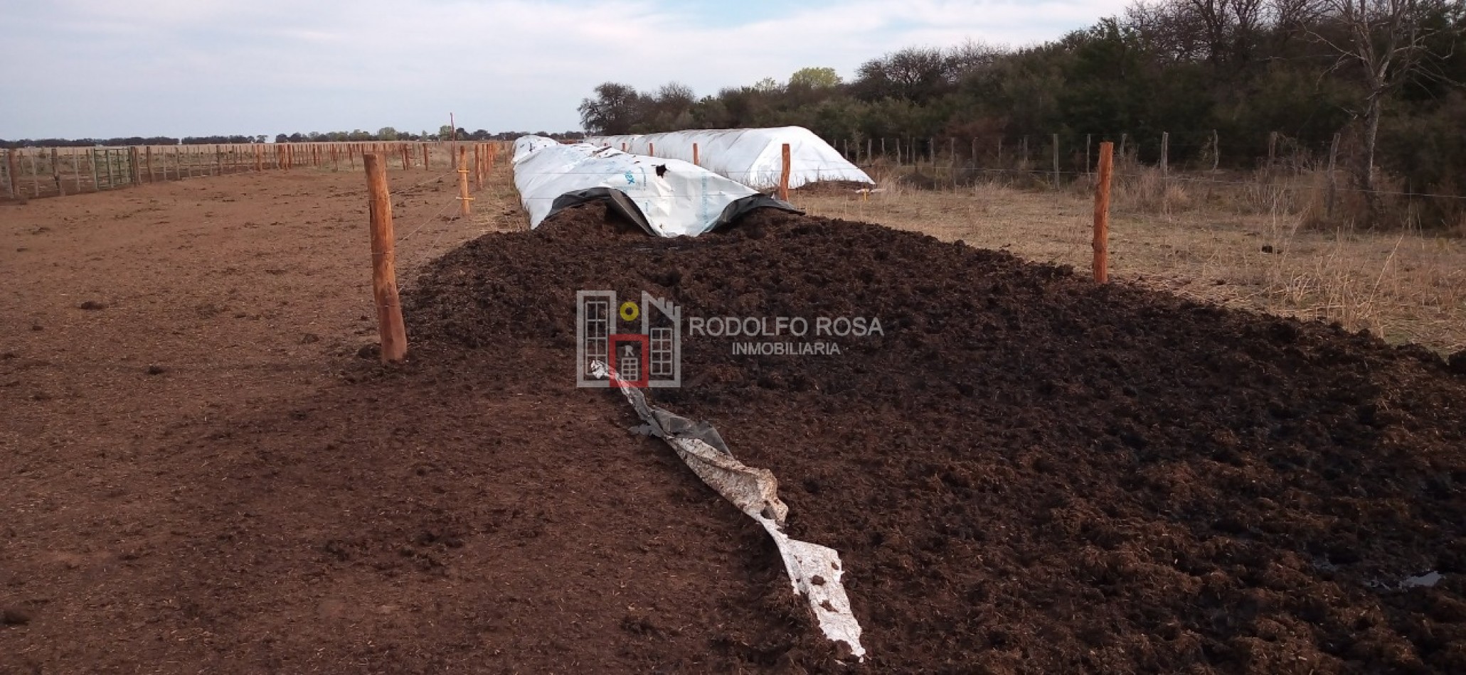 Excelente campo ganadero en departamento Rancul, La Pampa