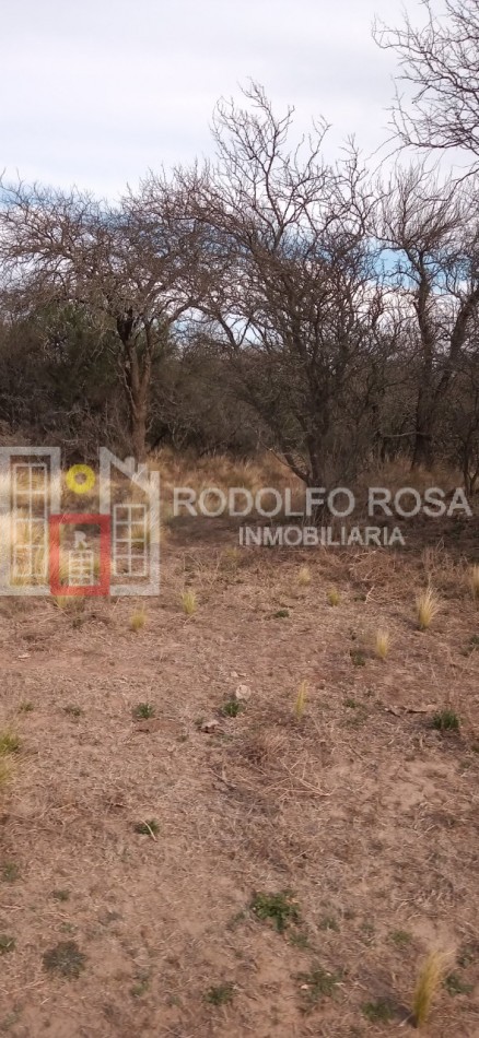 Excelente campo ganadero en departamento Rancul, La Pampa