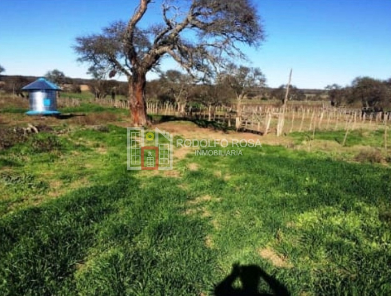 Excelente campo ganadero de 840 hectareas en Doblas, La Pampa