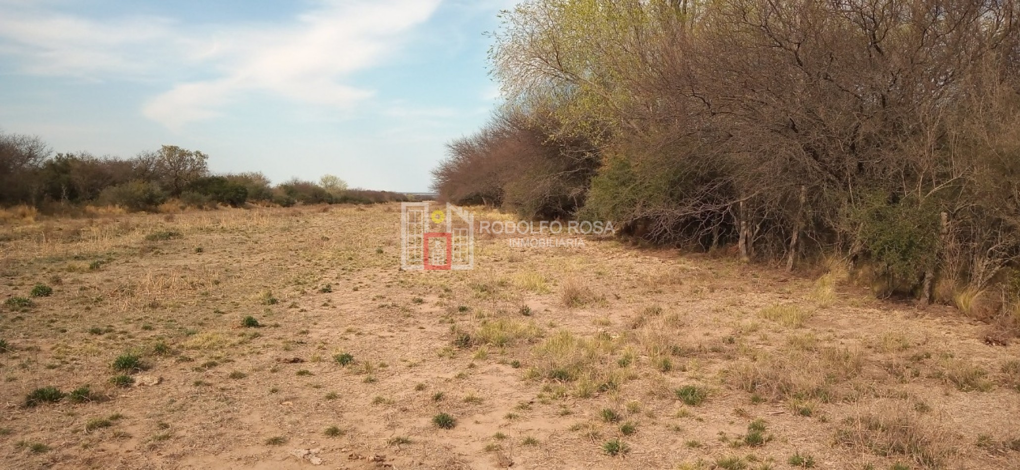 Excelente campo ganadero en departamento Rancul, La Pampa