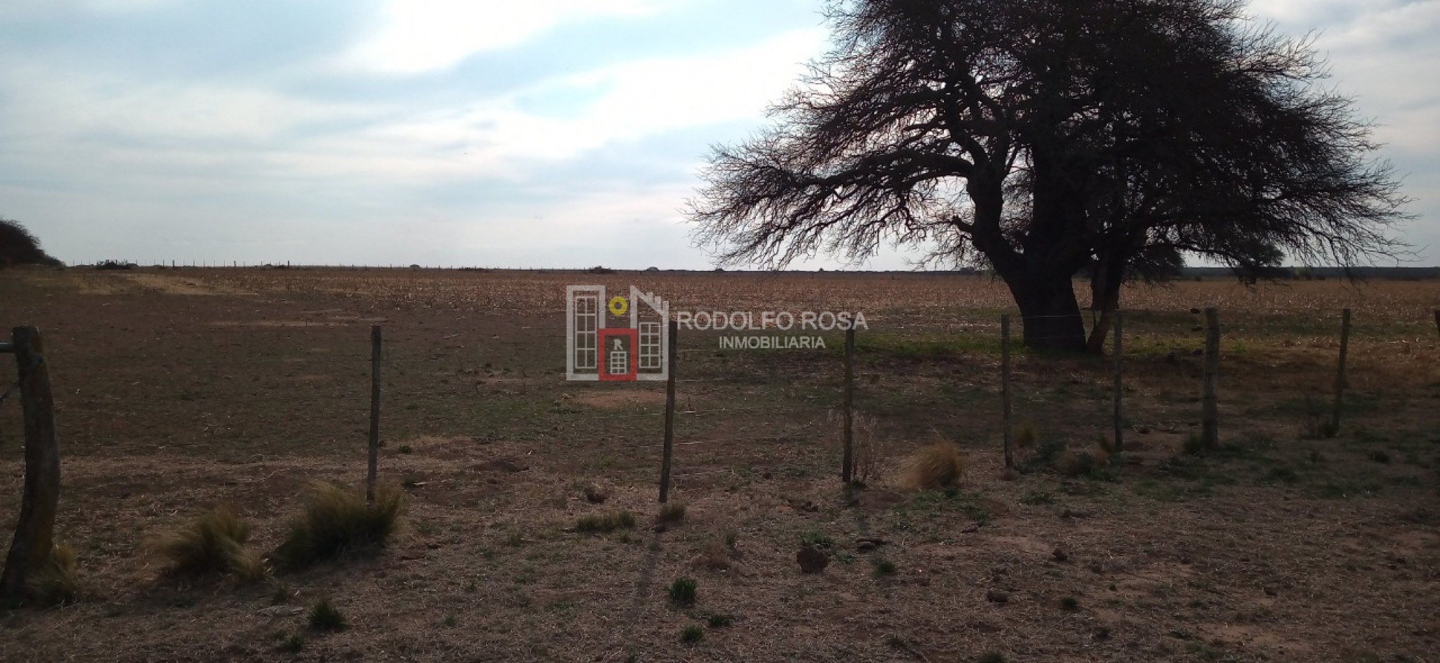 Excelente campo ganadero en departamento Rancul, La Pampa