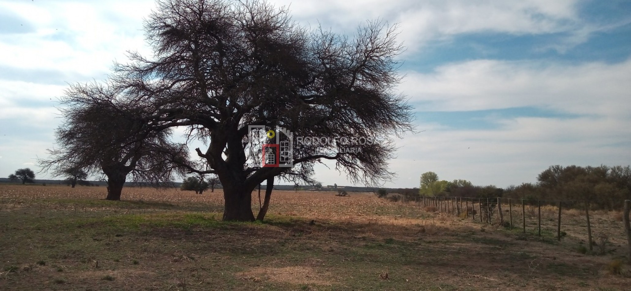 Excelente campo ganadero en departamento Rancul, La Pampa