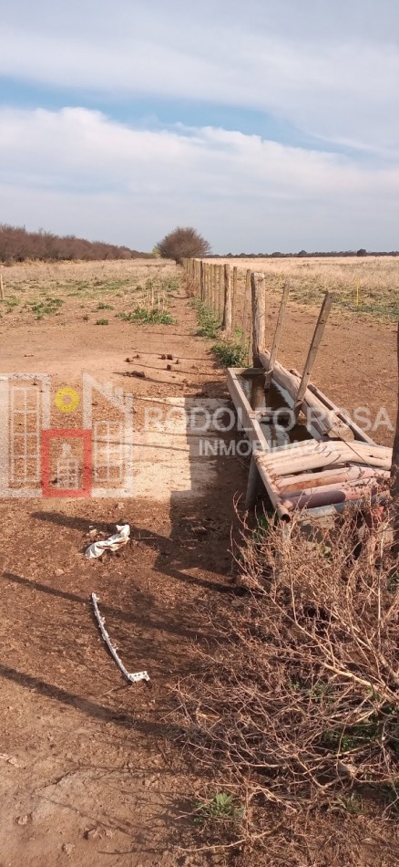 Excelente campo ganadero en departamento Rancul, La Pampa