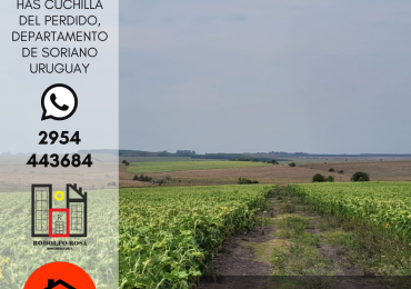 Establecimiento rural de 676 hectareas ubicado en Departamento de Soriano, Uruguay
