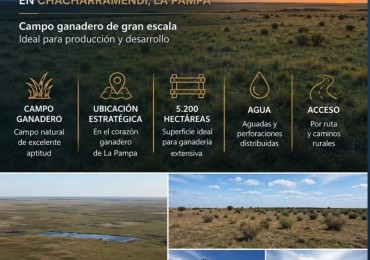 A LA VENTA - en EXCLUSIVIDAD - 5200 hectareas ganaderas en Chacharramendi, La Pampa 