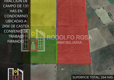 131 hectareas en Eduardo Castex, La Pampa (condominio sobre 264 hectareas totales)