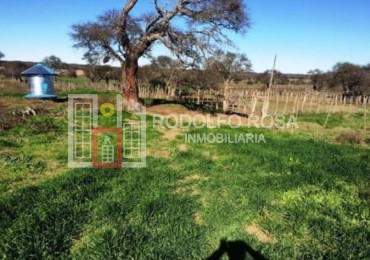 Excelente campo ganadero de 840 hectareas en Doblas, La Pampa
